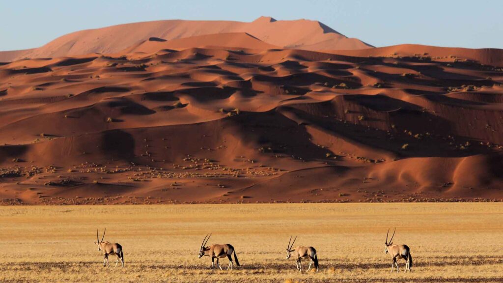a-life-changing-desert-eco-escape:-andbeyond-sossusvlei-namib-desert-review