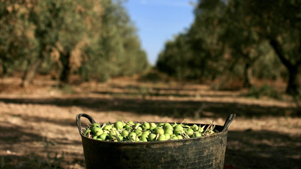 dieta-mediterranea-per-dimagrire-in-modo-sano-dopo-le-feste