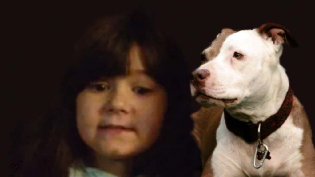 bambina-di-sette-anni-sbranata-e-uccisa-da-un-pitbull-in-giardino