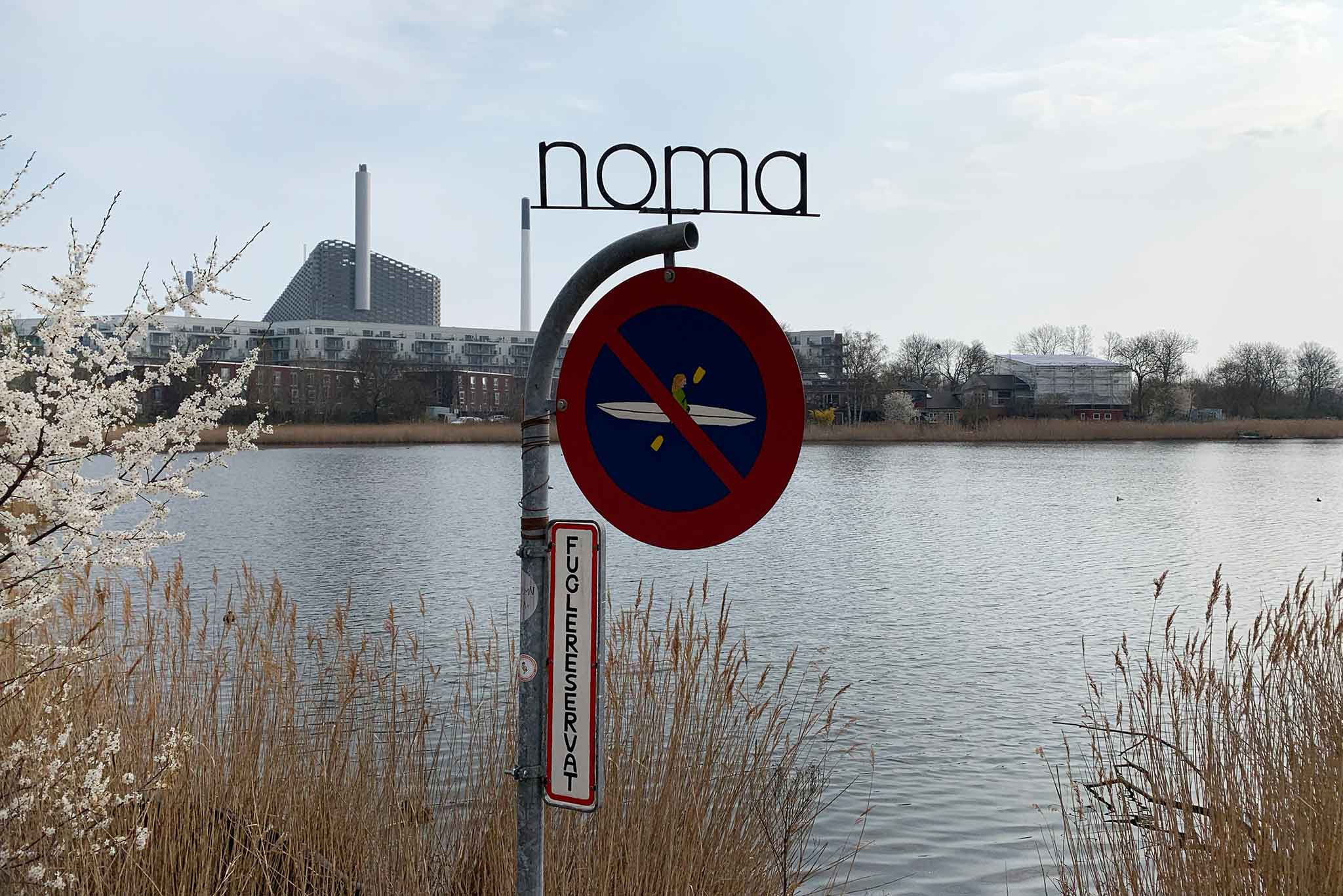 noma:-chiude-il-ristorante-migliore-del-mondo