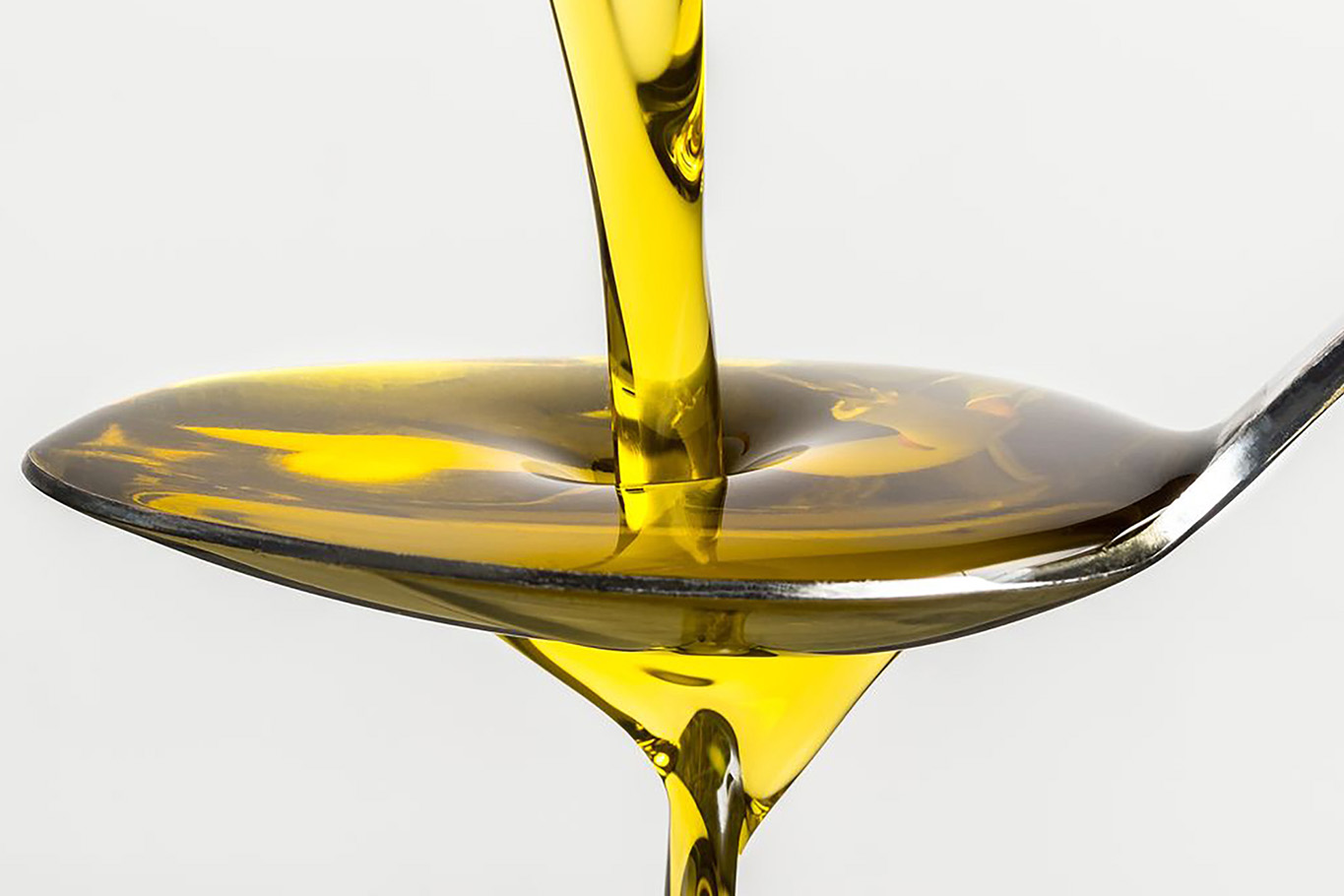 olio-extravergine-di-oliva-2023:-tutti-gli-appuntamenti-da-seguire