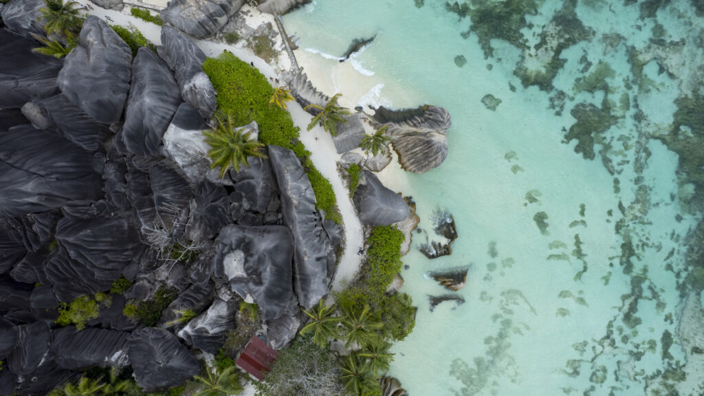 a-heart-of-green:-there’s-more-to-the-seychelles-than-romance