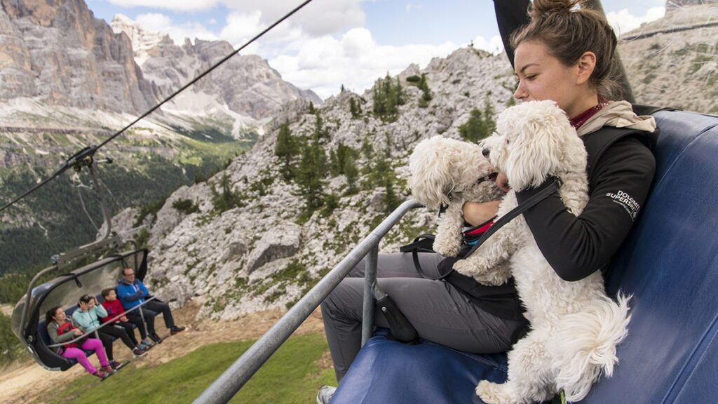 a-cortina-anche-i-cani-vanno-in-alta-quota