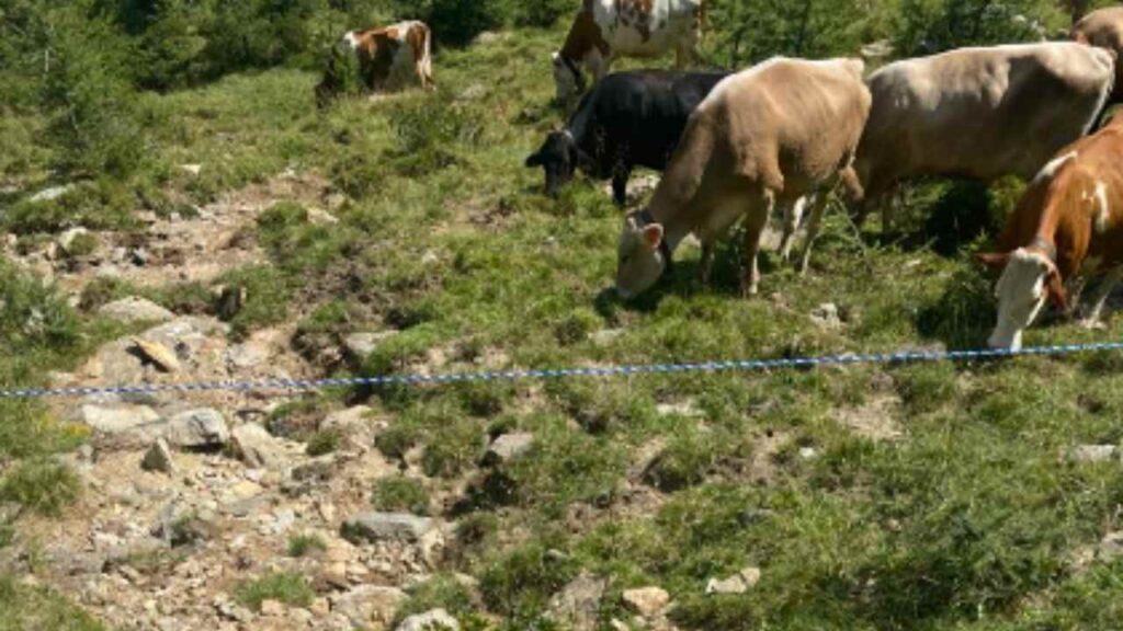 siccita,-grave-minaccia-per-l’italia:-situazione-allarmante-in-molte-regioni
