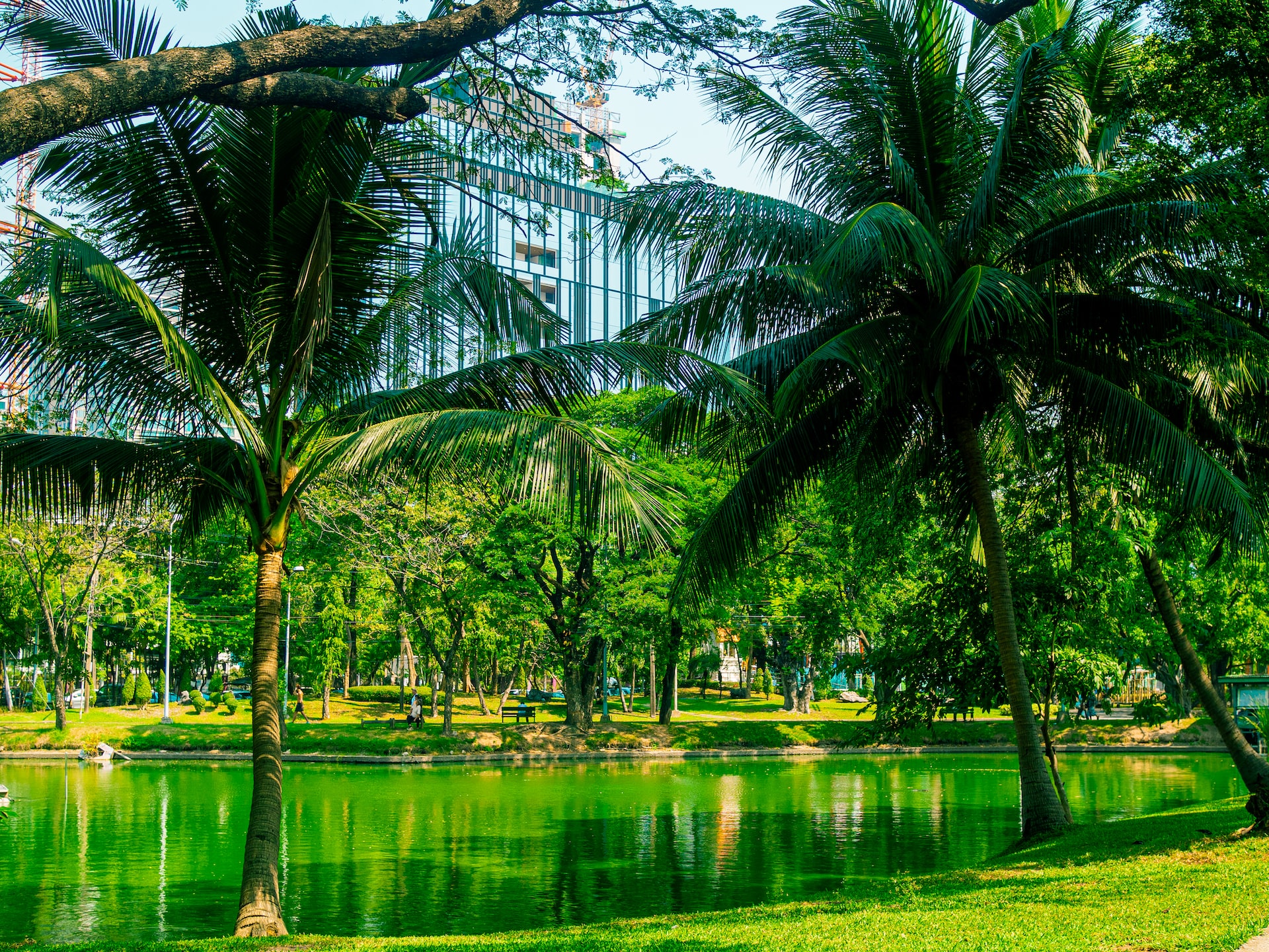 lumphini-park,-il-central-park-di-bangkok