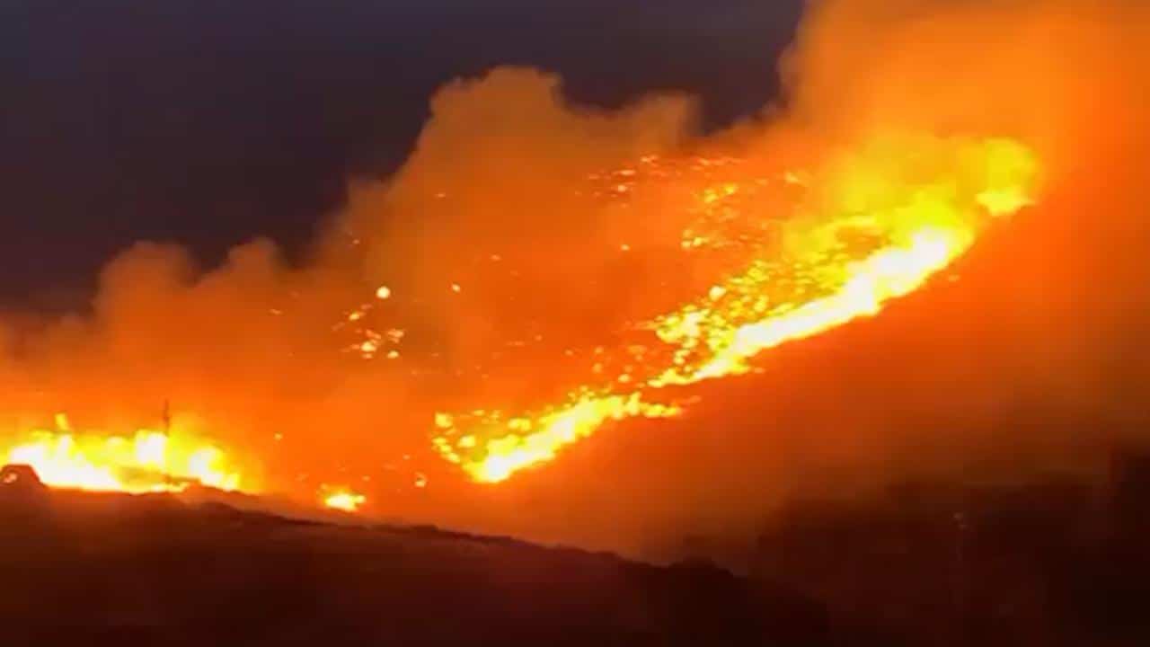 gli-incendi-a-pantelleria:-danneggiati-anche-gli-alberelli-di-zibibbo-patrimonio-unesco