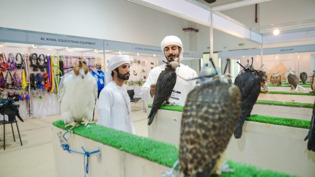 falcons-steal-the-show-al-asayl-exhibition
