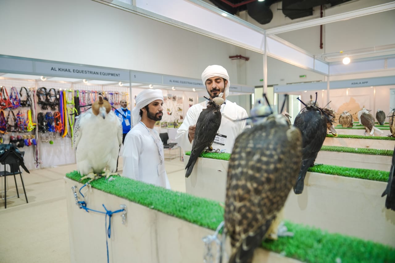 falcons-steal-the-show-al-asayl-exhibition