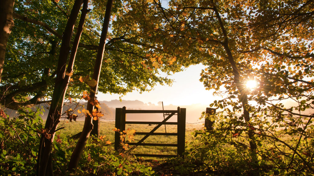 the-best-cotswolds-spots-to-visit-in-autumn