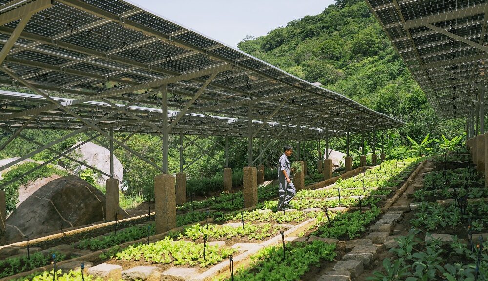 six-senses-ninh-van-bay-switches-on-the-sun