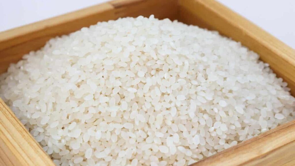 bagno:-lascia-sempre-una-ciotola-di-riso,-e-importantissimo