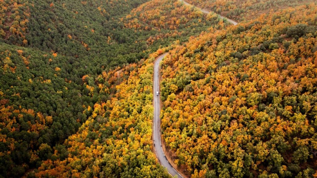 autunno-magico-in-camper:-ecco-gli-itinerari-piu-suggestivi-tra-foliage,-vigneti-e-sagre