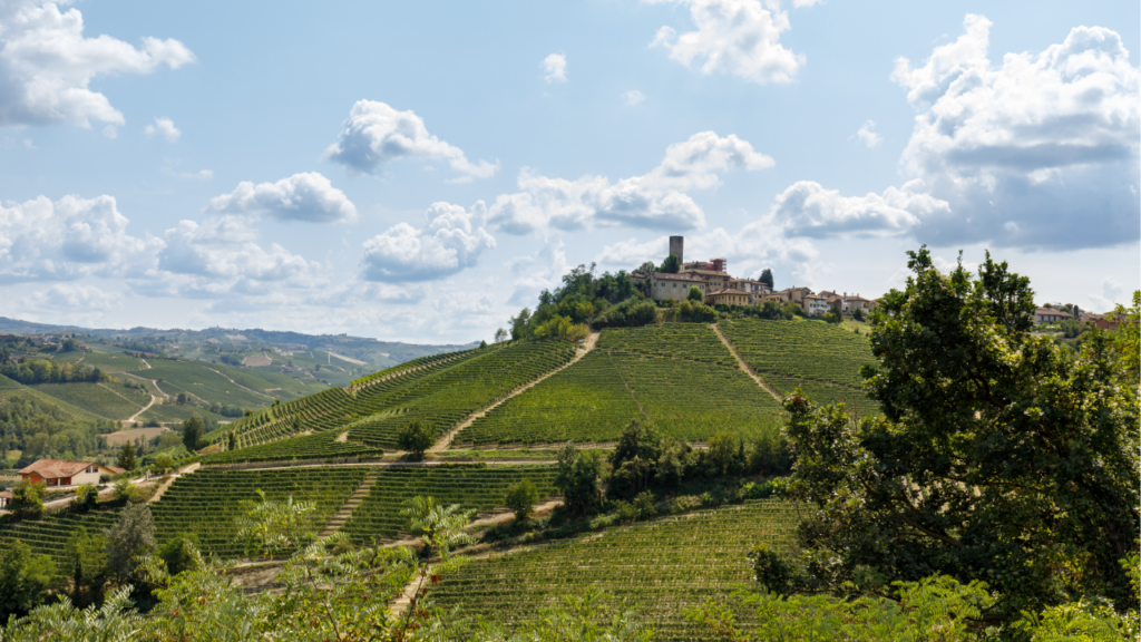 viaggio-in-albeisa,-scrigno-delle-langhe-–-james-magazine