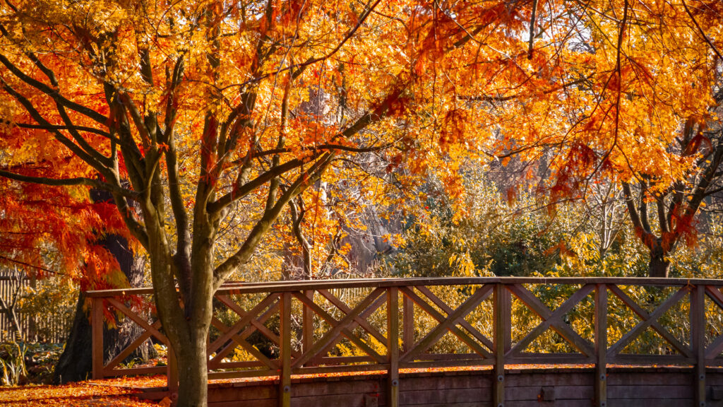 autumn:-the-best-places-to-visit-in-the-uk
