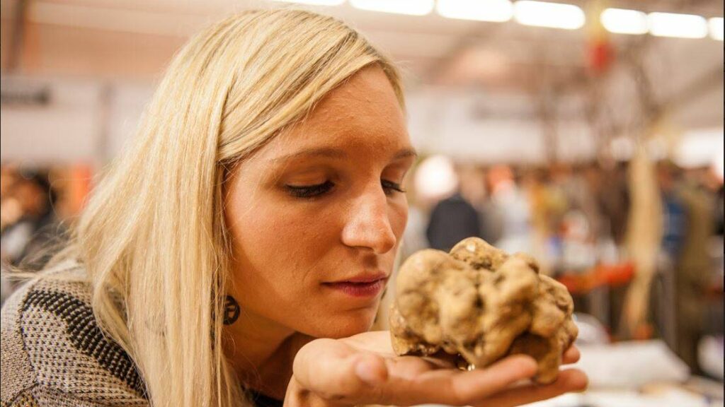 fiera-del-tartufo-bianco-di-alba:-gli-appuntamenti-da-non-perdere-a-novembre-–-informacibo