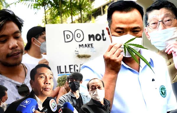cannabis-revolution-targeted,-mps-and-grassroots-confront-the-bhumjaithai-party’s-gambit-–-thai-examiner