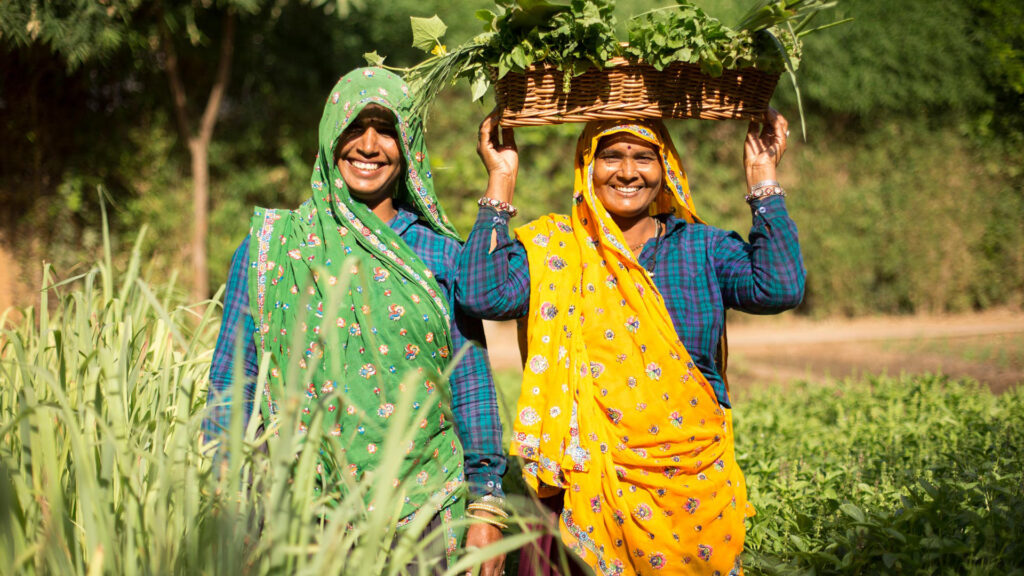 hotels-with-community-and-conservation-initiatives