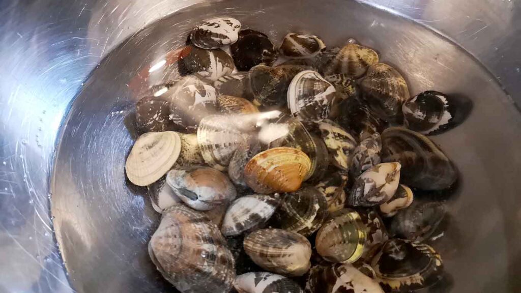 vongole-veraci-e-lupini:-istruzioni-per-vigilia-e-capodanno